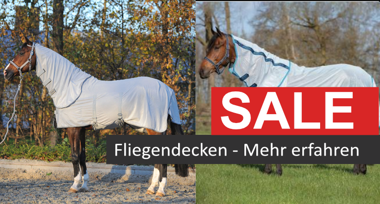 SALE Decken