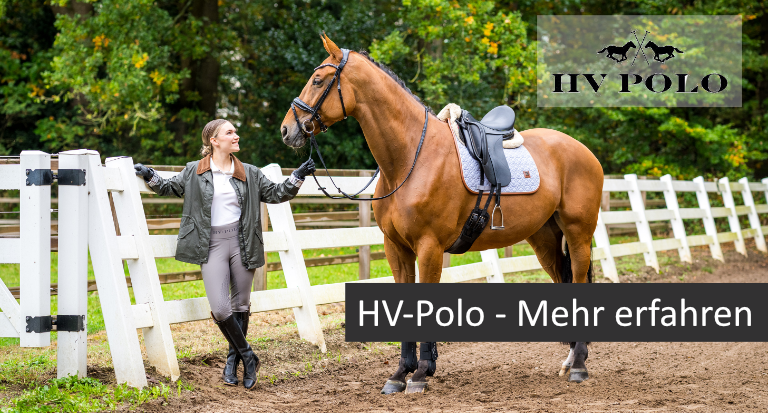 HV Polo . Mehr erfahren