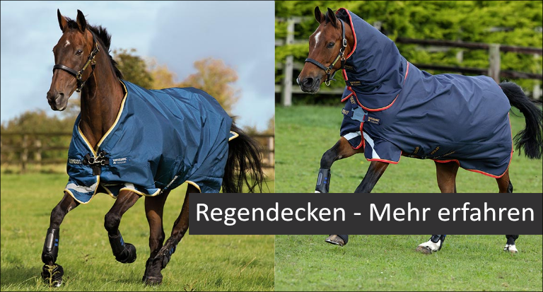 SALE Decken