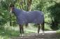 Preview: EQUI-THEME Combo Polarfleecedecke, 400 g, Grau/Blau