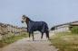 Preview: Equitheme Outdoordecke "Classic 1200D", 0g, High Neck,  Marineblau