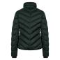 Preview: euro-star Bomber jacket ESGiorgina, Black-Leaf, (dunkelgrün)