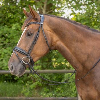 QHP Trense Arleth, Schwarz