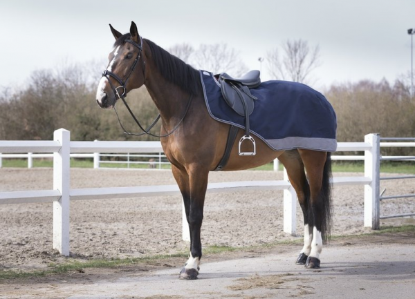 Equitheme Tyrex Nierendecke wasserdicht m. Fleecefutter, Marine/Grau