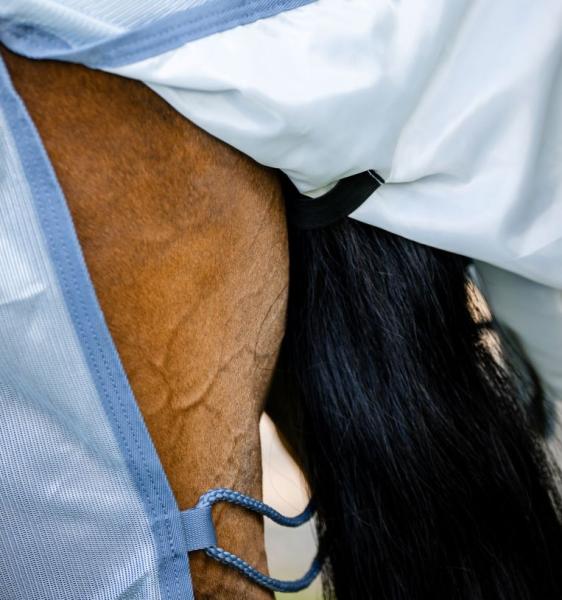 Amigo Integrated Fly Sheet (m. festem Halsteil), Heather Blue/Blue & Silver