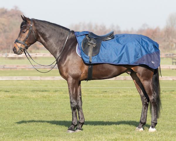 QHP Ausreit-Nierendecke Collection Fleece, Graphic