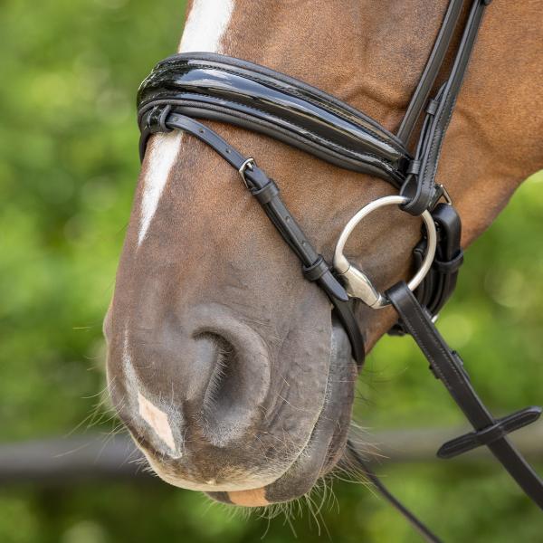 QHP Trense Arleth, Schwarz